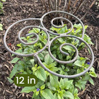 Plant Support
